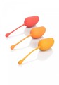 Kegel Training Set Mango Assortment
