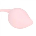 Pelvic Stem Kegel Kit - Multicolor
