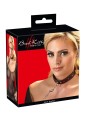 Collar and Leash