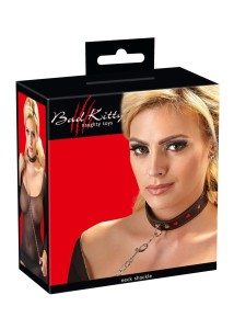 Collar and Leash