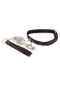 Collar and Leash