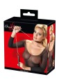 Collar and Leash