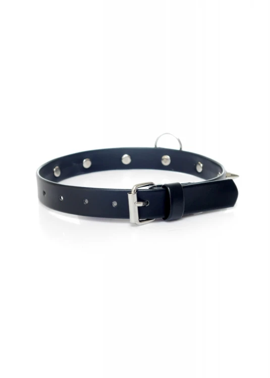 Fetish B - Series Collar with studs 2 cm