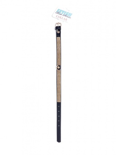 Fetish B - Series Collar with crystals 2 cm gold
