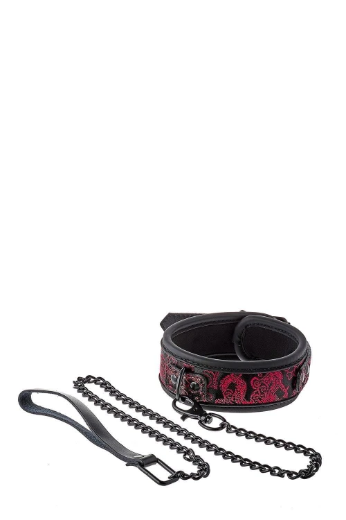 BLAZE DELUXE COLLAR &amp; LEASH