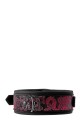 BLAZE DELUXE COLLAR &amp; LEASH