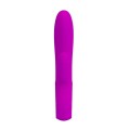 PRETTY LOVE - ELMER, PURPLE, USB, 12 function