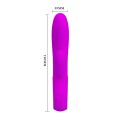 PRETTY LOVE - ELMER, PURPLE, USB, 12 function