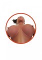 Lalka- ALECIA 3D - Vibrating