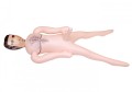 Lalka- BOYS of TOYS Male Doll