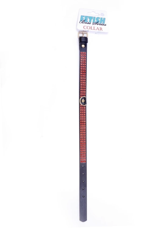 Fetish B - Series Collar with crystals 2 cm Red Line