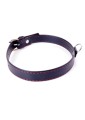 Fetish B -  Series Collar  2cm Red Line