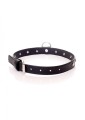 Fetish B - Series - Collar 2 cm silver crystal