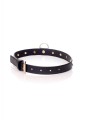 Fetish B - Series Collar - 2 cm turquoise crystal