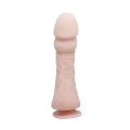 BAILE - The Big Penis, Vibration, Suction base