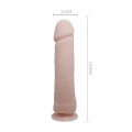 BAILE - The Big Penis