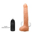 BAILE - Penis Vibration