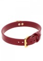 O-Ring Collar Red