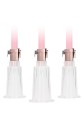 Clitoral &amp; Nipple Pump Set Medium - Rose Gold