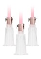 Clitoral &amp; Nipple Pump Set Medium - Rose Gold