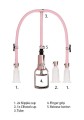 Clitoral &amp; Nipple Pump Set Medium - Rose Gold