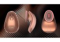 Twitch Hands - Free Suction &amp; Vibration Toy - Rose