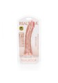 Curved Realistic Dildo with Suction Cup - 7""""/ 18 cm