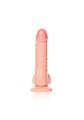 Curved Realistic Dildo  Balls  Suction Cup - 6""""/ 15,5 cm