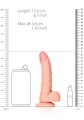 Curved Realistic Dildo  Balls  Suction Cup - 6""""/ 15,5 cm