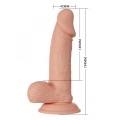 BAILE-Beautiful Zebulon 7.6""""