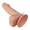 BAILE-Beautiful Zebulon Vibration 7.6""""