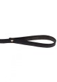 Statement Collar and leash Rose Gold