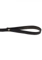 Statement Collar and leash Rose Gold