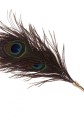 Peacock Tickler Rose Gold