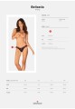 Bellastia stringi  M/L