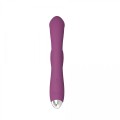 Dual rabbit vibrator