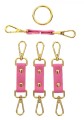 Hogtie Pink
