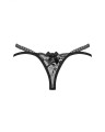 Blomentis stringi  M/L