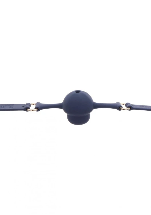 Silicone Mouth Gag Blue