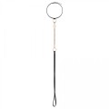 Rosy Gold - Collar with Leash - Black