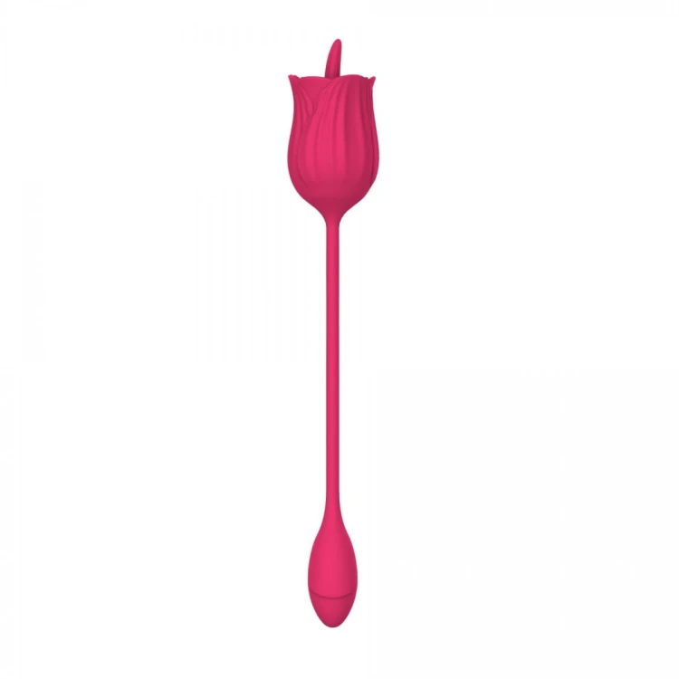 Stymulator - Licking massager with vibrating Egg USB 10 Functions