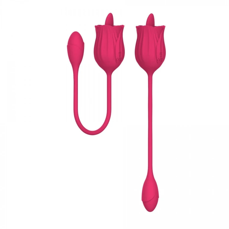 Stymulator - Licking massager with vibrating Egg USB 10 Functions