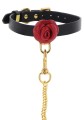Wild Roses Collar &amp; Leash Black