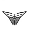 Iliosa stringi   S/M