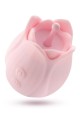 PLAY WITH ME ROMANTIC ROSE PINK