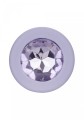 Crystal Booty Kit Purple