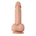BAILE-Beautiful Bahamut 8.5""""