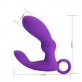 PRETTY LOVE - Cayla purple, 12 vibration functions Memory function