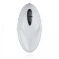 Mini Vibrator With Remote Control