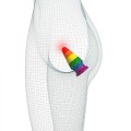 6'' Prider Anal Plug